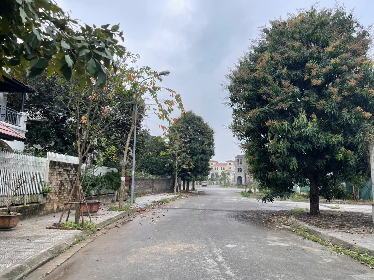 Bán Biệt thự KDTM Nam An Khánh- Sudico An Thượng Hoài Đức Hà Nội - Hình 3