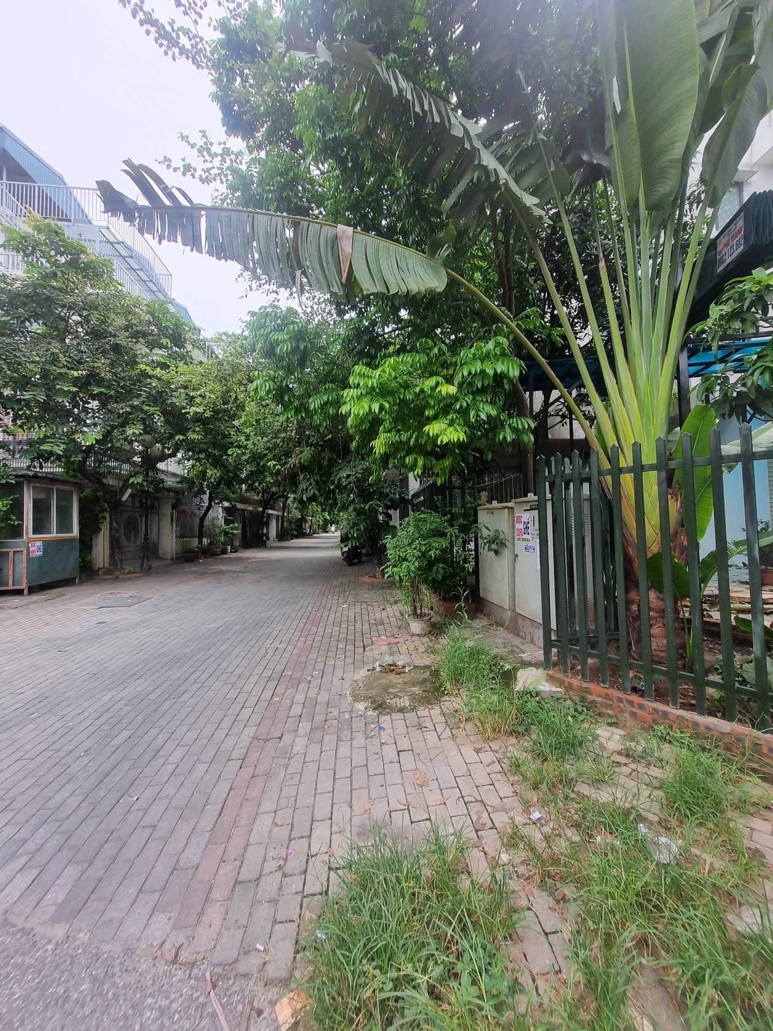 Bán gấp Biệt thự Hoàng mai, Hà Nội - Hình 6